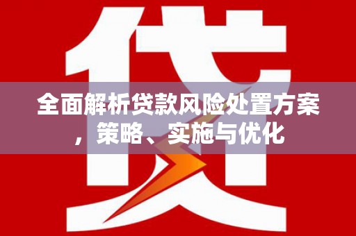 武川全面解析贷款风险处置方案，策略、实施与优化