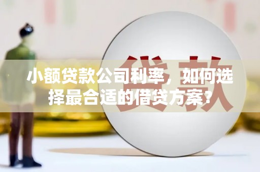 元朗小额贷款公司利率，如何选择最合适的借贷方案？