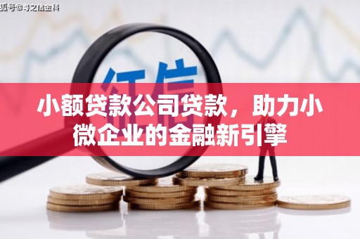 花莲小额贷款公司贷款，助力小微企业的金融新引擎