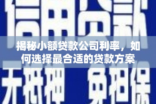 兴文揭秘小额贷款公司利率，如何选择最合适的贷款方案