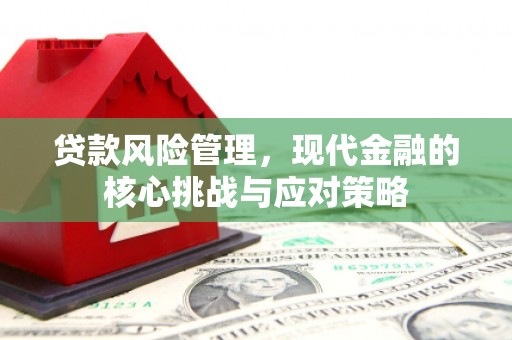 松潘贷款风险管理，现代金融的核心挑战与应对策略
