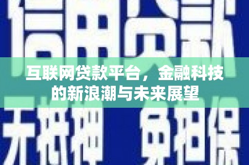 东丰互联网贷款平台，金融科技的新浪潮与未来展望