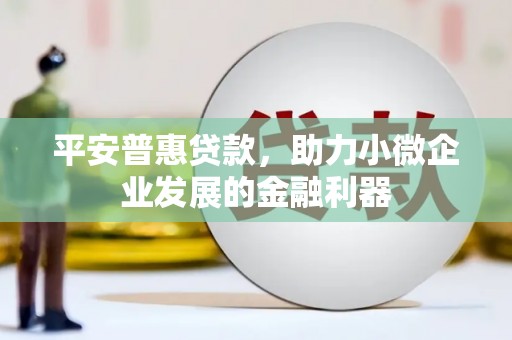 墨江平安普惠贷款，助力小微企业发展的金融利器