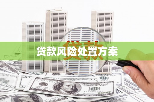 宜良贷款风险处置方案