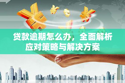 嘉善贷款逾期怎么办，全面解析应对策略与解决方案