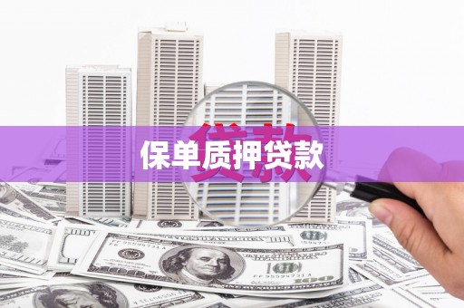 皇姑保单质押贷款