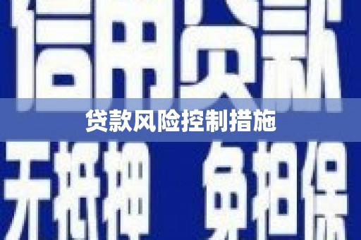 惠民贷款风险控制措施