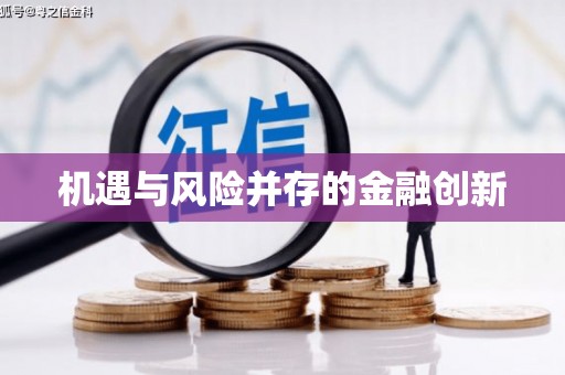 林甸机遇与风险并存的金融创新