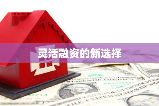 横县灵活融资的新选择