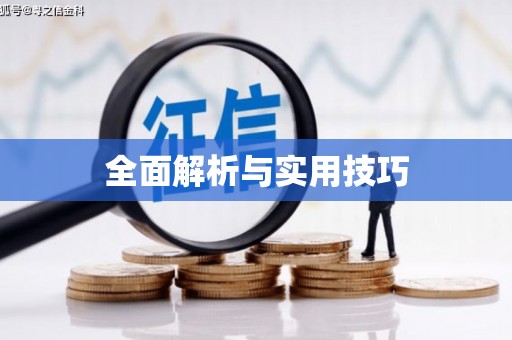 宁夏全面解析与实用技巧 宁夏全面解析与实用技巧