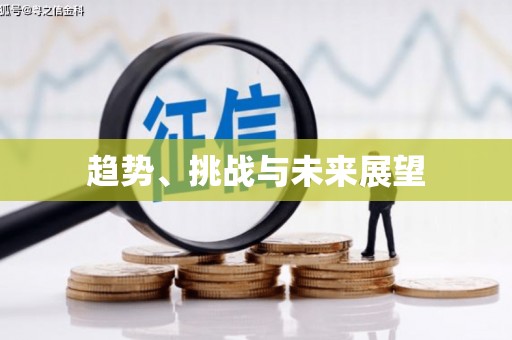 芦淞趋势、挑战与未来展望