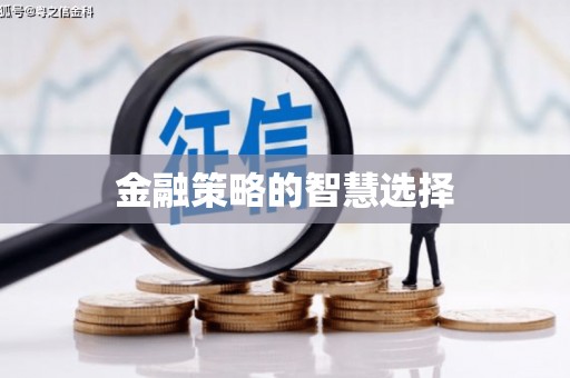 宝兴金融策略的智慧选择