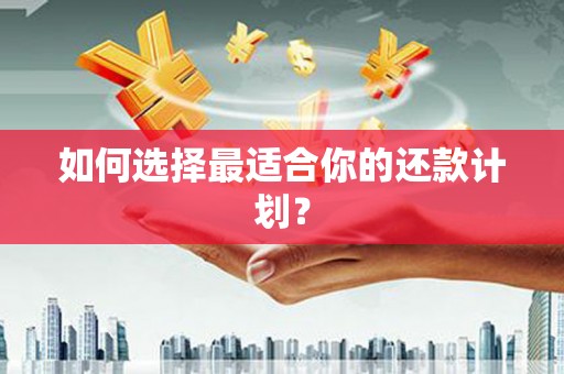 巴楚如何选择最适合你的还款计划？