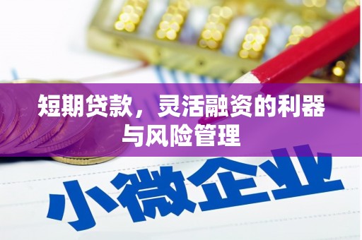 凤泉短期贷款，灵活融资的利器与风险管理